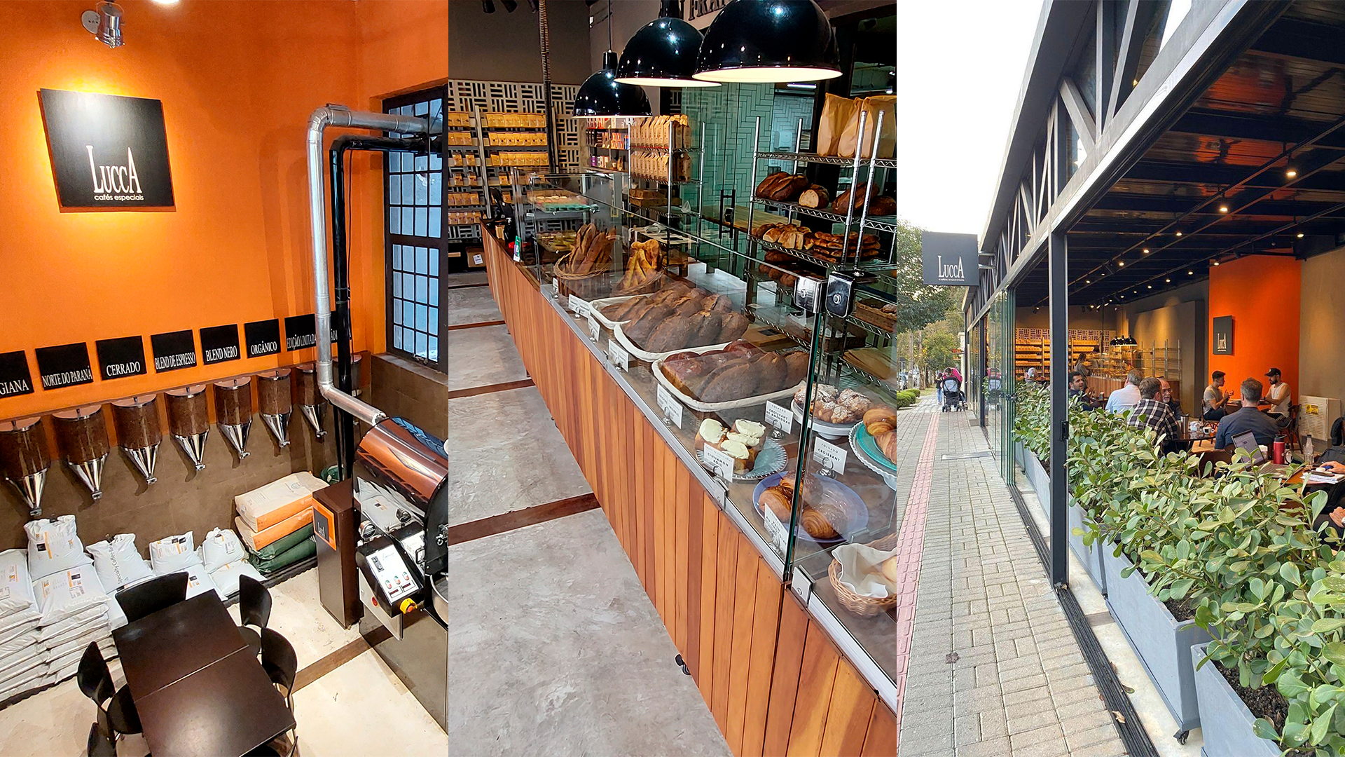 Lucca Cafés Especiais: pioneirismo e excelência no coração do Batel, em Curitiba